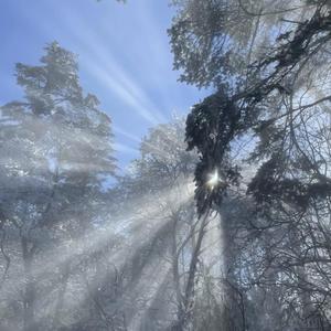 中国古代三级毛片梅丽莎
