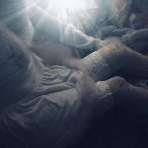 中国古代三级毛片梅丽莎
